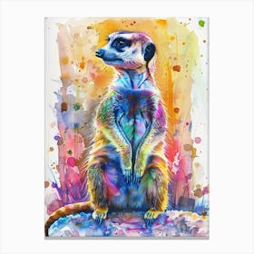 Meerkat Colourful Watercolour 1 Canvas Print