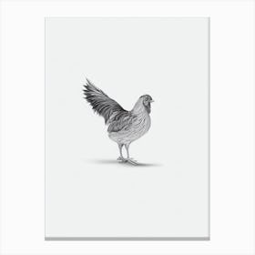Chicken B&W Pencil Drawing 4 Bird Canvas Print