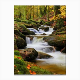 Waterfall River Cool Canvas Print