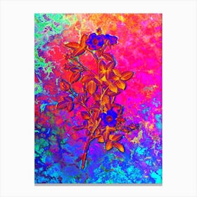 Pink Pompon Rose Botanical in Acid Neon Pink Green and Blue Canvas Print