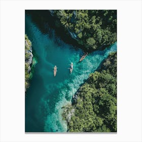 Aerial View Of A River Canvas Print