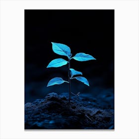 Small Green Plant On A Dark Background Canvas Print