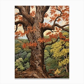 Shagbark Hickory 2 Vintage Autumn Tree Print  Canvas Print