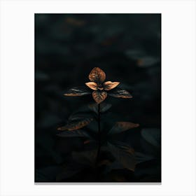 Flower In The Dark 45 Canvas Print