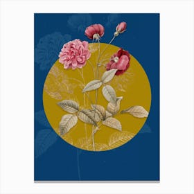 Vintage Botanical Vintage Blooming China Rose on Circle Yellow on Blue Canvas Print