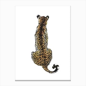 Leopard Isolated Canvas Print