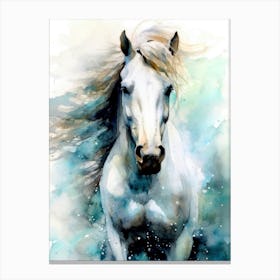White Horse Watercolor Painting animal Canvas Print