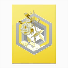 Botanical Common Rose of India in Gray and Yellow Gradient n.156 Canvas Print