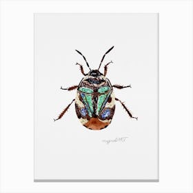 Tritomegas bicolor or pied shield bug , watercolor artwork Canvas Print