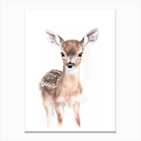 Baby Deer Watercolour Nursery 11 Canvas Print