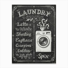 Laundry Toile