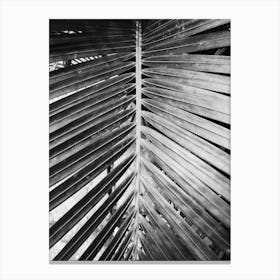 Palm Leaf 5 Canvas Print