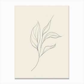 Line Drawing Of A Leaf Canvas Print