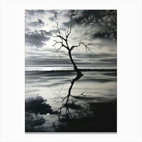 Lone Tree 21 Canvas Print