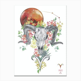Aries Ram Skull Canvas Print