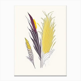 Corn Silk Spices And Herbs Minimal Line Drawing 1 Canvas Print