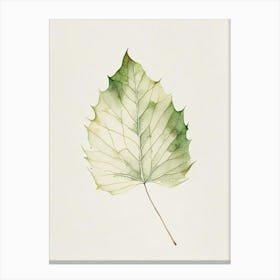 Sycamore Leaf Minimalist Watercolour 2 Canvas Print