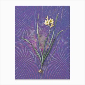 Vintage Gladiolus Lineatus Botanical Illustration on Veri Peri n.0061 Canvas Print