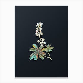 Vintage Half Shrubby Lupine Flower Botanical Watercolor Illustration on Dark Teal Blue Canvas Print