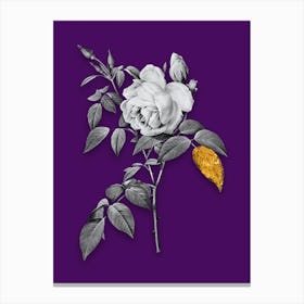 Vintage Fragrant Rosebush Black and White Gold Leaf Floral Art on Deep Violet n.1008 Canvas Print