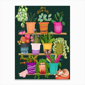 Plant Pots On Shelf Plant Lover Botanical Illustration Canvas Print