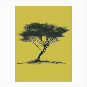 Acacia Tree Minimalistic Drawing 3 Canvas Print