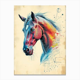 Horse Color Portrait 1 Canvas Print