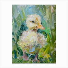 Duckling 5 Canvas Print