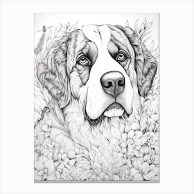 Saint Bernard Dog, Line Drawing 2 Canvas Print