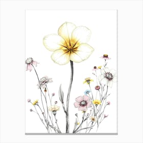 Wildflowers 9 Canvas Print