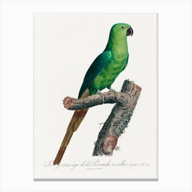 The Rose Ringed Parakeet Natural History Of Parrots, Francois Levaillant Canvas Print
