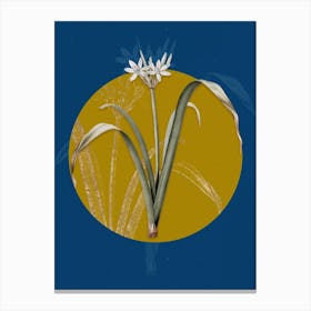 Vintage Botanical Small Flowered Pancratium on Circle Yellow on Blue Canvas Print