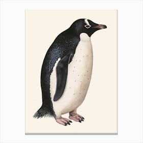 Adlie Penguin Volunteer Point Vintage Botanical Painting 4 Canvas Print