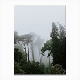 Trees in the park of the National Palace of Pena, Sintra Canvas Print
