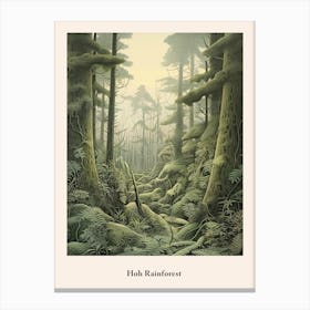 Hoh Rainforest Canvas Print