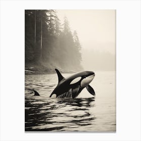 Sepia Misty Orca Whale Forest Scenery Canvas Print