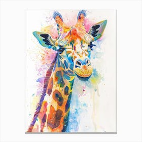 Giraffe Colourful Watercolour 4 Canvas Print