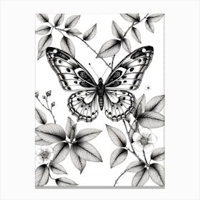 Butterfly On A Branch Canvas Print