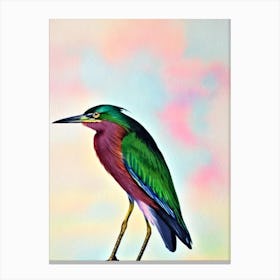 Green Heron Watercolour Bird Canvas Print