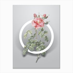 Vintage Four Seasons Rose in Bloom Minimalist Flower Geometric Circle on Soft Gray n.0091 Canvas Print