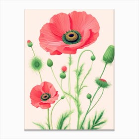 Poppies 5 Canvas Print