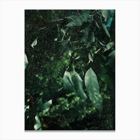 Abstract Greens In The Sun Canvas Print