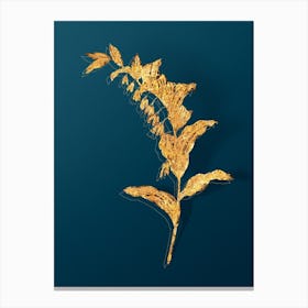 Vintage Solomon's Seal Botanical in Gold on Teal Blue n.0243 Canvas Print