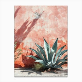 Agave Plant In Front Of A Wall Canvas Print