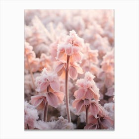 Frosty Botanical Coral Bells Canvas Print