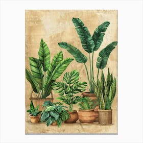 Tropical Plants In Pots 2 Canvas Print