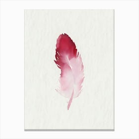 Feather Canvas Print