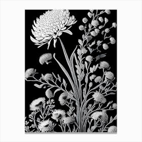 Pearly Everlasting Wildflower Linocut 1 Canvas Print