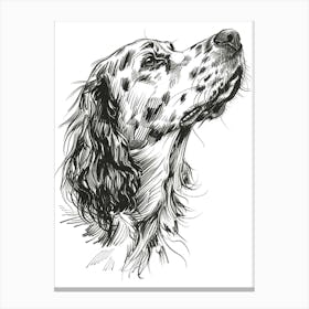English Setter Dog Line Sketch 3 Canvas Print