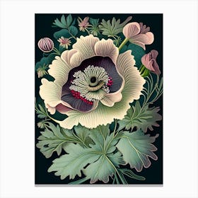 Anemone Wildflower Vintage Botanical 1 Canvas Print